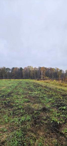 Участки, Калужская область